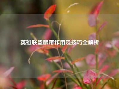 英雄联盟眼带作用及技巧全解析