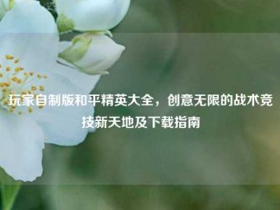 玩家自制版和平精英大全，创意无限的战术竞技新天地及下载指南