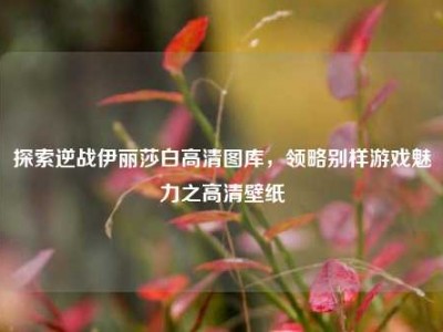 探索逆战伊丽莎白高清图库，领略别样游戏魅力之高清壁纸
