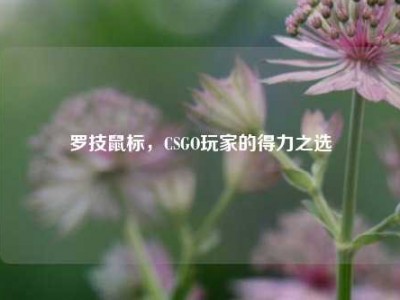 罗技鼠标，CSGO玩家的得力之选