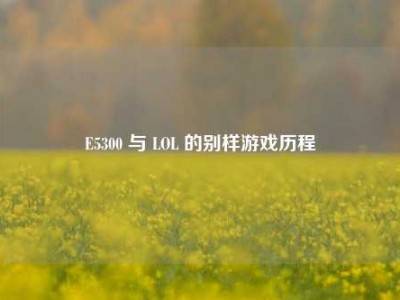 E5300 与 LOL 的别样游戏历程