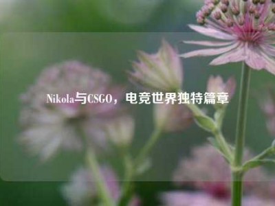 Nikola与CSGO，电竞世界独特篇章