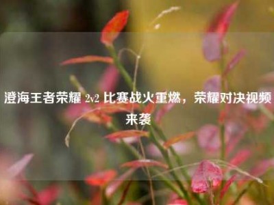 澄海王者荣耀 2v2 比赛战火重燃，荣耀对决视频来袭