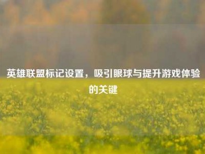 英雄联盟标记设置，吸引眼球与提升游戏体验的关键