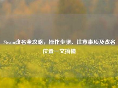 Steam改名全攻略，操作步骤、注意事项及改名位置一文搞懂