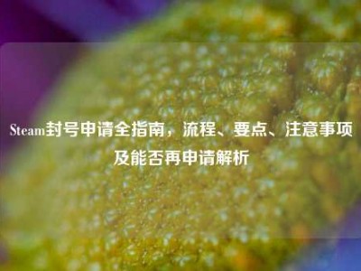 Steam封号申请全指南，流程、要点、注意事项及能否再申请解析