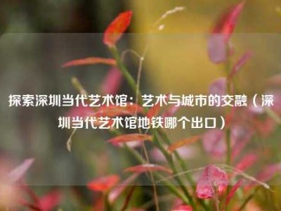 探索深圳当代艺术馆：艺术与城市的交融（深圳当代艺术馆地铁哪个出口）
