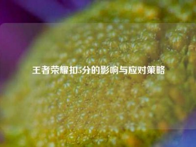 王者荣耀扣5分的影响与应对策略