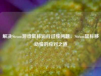 解决Steam游戏鼠标运行过慢问题，Steam鼠标移动慢的应对之道