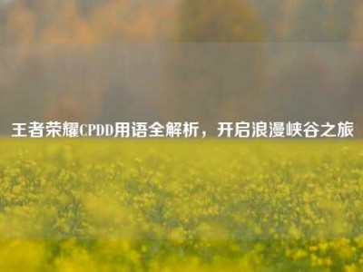 王者荣耀CPDD用语全解析，开启浪漫峡谷之旅