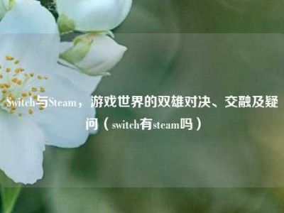 Switch与Steam，游戏世界的双雄对决、交融及疑问（switch有steam吗）