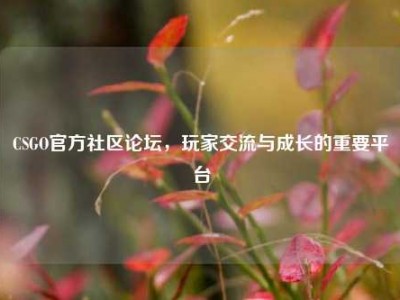 CSGO官方社区论坛，玩家交流与成长的重要平台