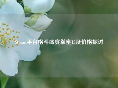 Steam平台格斗盛宴拳皇15及价格探讨