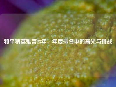 和平精英难言23年，年度排名中的高光与挑战