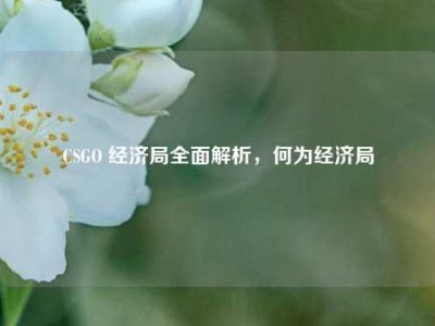 CSGO 经济局全面解析，何为经济局