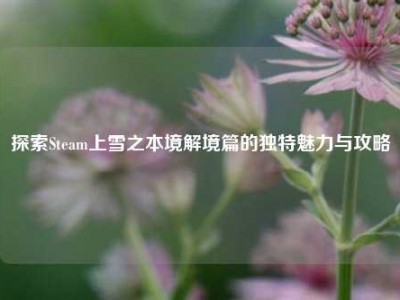 探索Steam上雪之本境解境篇的独特魅力与攻略