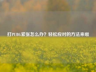 打PUBG紧张怎么办？轻松应对的方法来啦