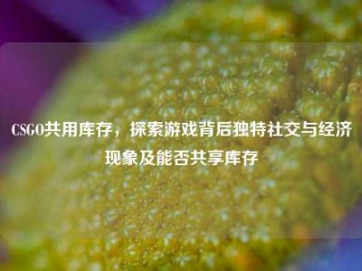 CSGO共用库存，探索游戏背后独特社交与经济现象及能否共享库存