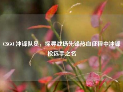 CSGO 冲锋队员，探寻战场先锋热血征程中冲锋枪选手之名