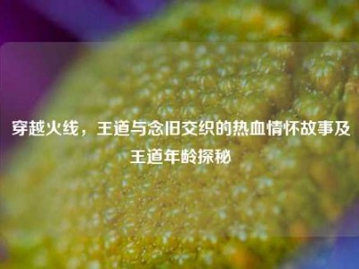 穿越火线，王道与念旧交织的热血情怀故事及王道年龄探秘