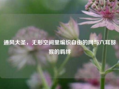 通风大圣，无形空间里编织自由的网与六耳猕猴的羁绊