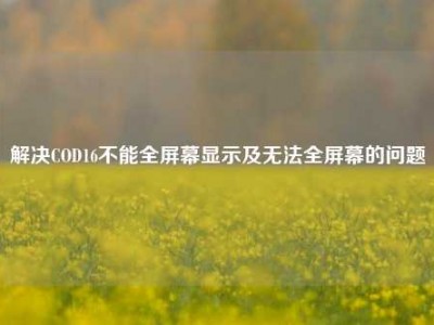 解决COD16不能全屏幕显示及无法全屏幕的问题