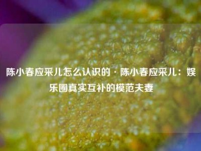 陈小春应采儿怎么认识的·陈小春应采儿：娱乐圈真实互补的模范夫妻
