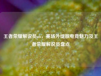 王者荣耀解说员uu，赛场外绽放电竞魅力及王者荣耀解说员盘点