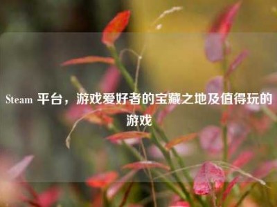 Steam 平台，游戏爱好者的宝藏之地及值得玩的游戏