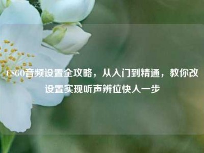 CSGO音频设置全攻略，从入门到精通，教你改设置实现听声辨位快人一步