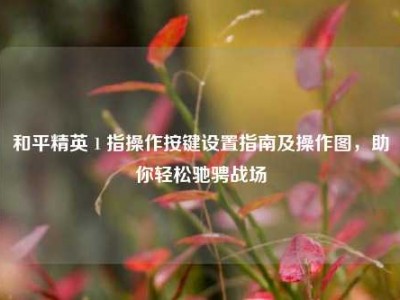 和平精英 1 指操作按键设置指南及操作图，助你轻松驰骋战场