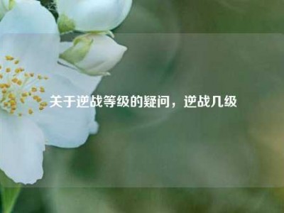 关于逆战等级的疑问，逆战几级
