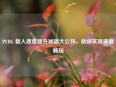 PUBG 载入速度提升秘籍大公开，助你实现满载畅玩