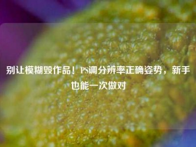 别让模糊毁作品！PS调分辨率正确姿势，新手也能一次做对