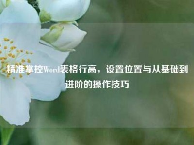 精准掌控Word表格行高，设置位置与从基础到进阶的操作技巧