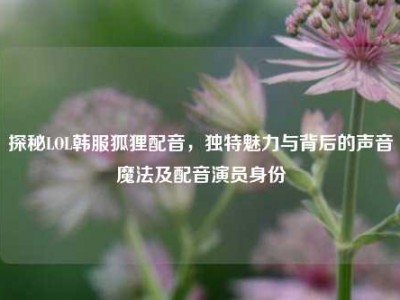 探秘LOL韩服狐狸配音，独特魅力与背后的声音魔法及配音演员身份