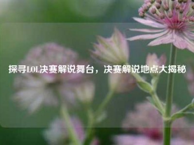 探寻LOL决赛解说舞台，决赛解说地点大揭秘