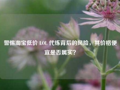 警惕淘宝低价 LOL 代练背后的风险，其价格便宜是否属实？