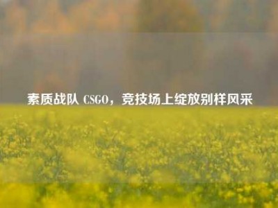 素质战队 CSGO，竞技场上绽放别样风采