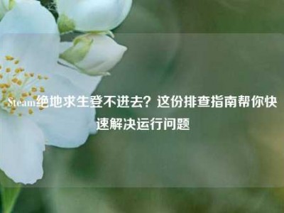 Steam绝地求生登不进去？这份排查指南帮你快速解决运行问题