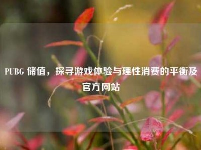 PUBG 储值，探寻游戏体验与理性消费的平衡及官方网站