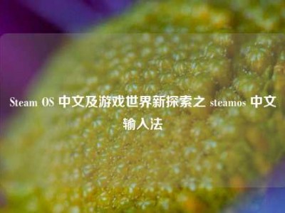 Steam OS 中文及游戏世界新探索之 steamos 中文输入法