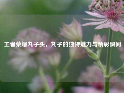 王者荣耀丸子头，丸子的独特魅力与精彩瞬间
