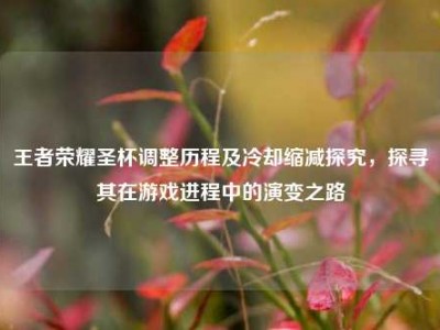 王者荣耀圣杯调整历程及冷却缩减探究，探寻其在游戏进程中的演变之路