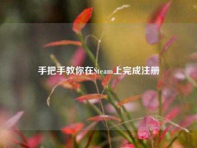 手把手教你在Steam上完成注册