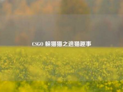 CSGO 躲猫猫之逃猫趣事
