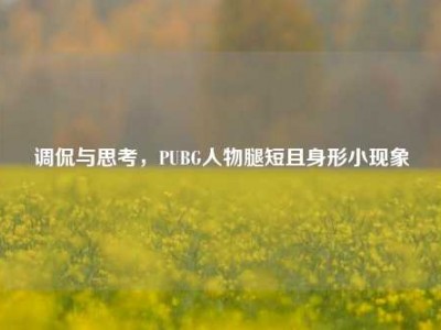 调侃与思考，PUBG人物腿短且身形小现象