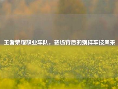 王者荣耀职业车队，赛场背后的别样车技风采