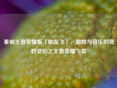 奏响王者荣耀版〈歌在飞〉，游戏与音乐的奇妙交织之王者荣耀飞哥