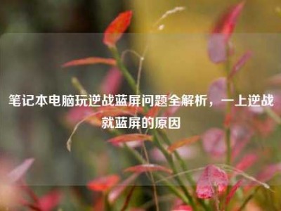 笔记本电脑玩逆战蓝屏问题全解析，一上逆战就蓝屏的原因